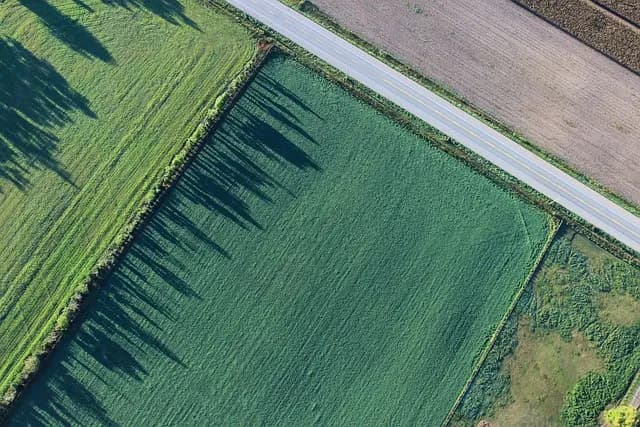 Jak Skutecznie Ocenić Działkę Przed Zakupem Domu?